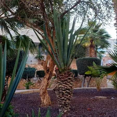 Privat Baywatch With Seaview La Mata ヴィラ *