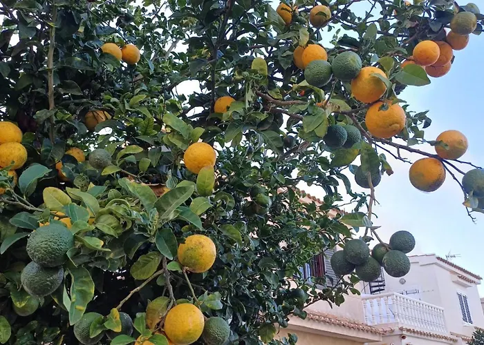 Privat Baywatch With Seaview La Mata Torrevieja